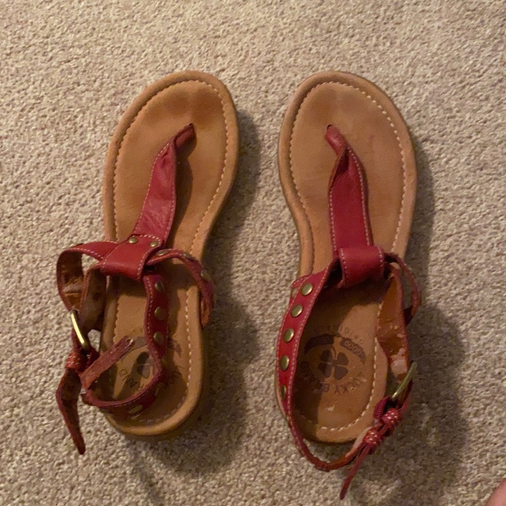 Lucky Brand Maroon Sweaters